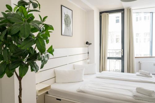 Schoeneweide Apartment | Fantastic 2 Bedroom Apartment