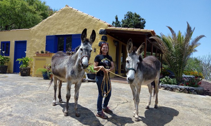Tijarafe House | Fantastic secluded location right on the edge of the natural reserve of the caldera