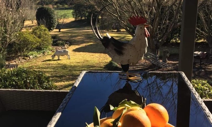 Kangaroo Valley House | Farm Escape - Spacious Cottage in Kangaroo Valley