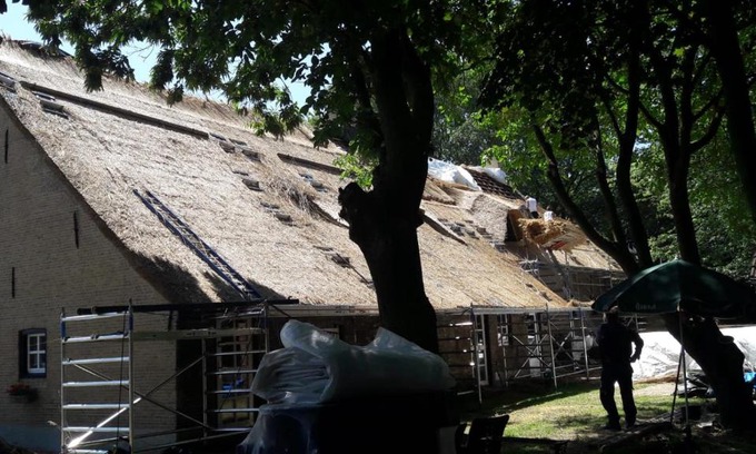 Prinsenbeek Bed & Breakfast | Farmer's Suite