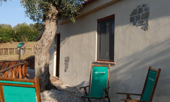 Stella Cilento Other | Farmhouse Cabin