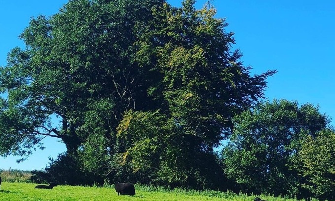 Ilfracombe Cottage | Farmhouse cottage - within 7 acres with large garden on the edge of Exmoor