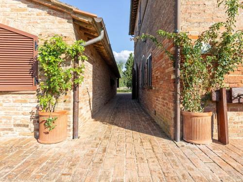Bollano House | Farmhouse in Buonconvento