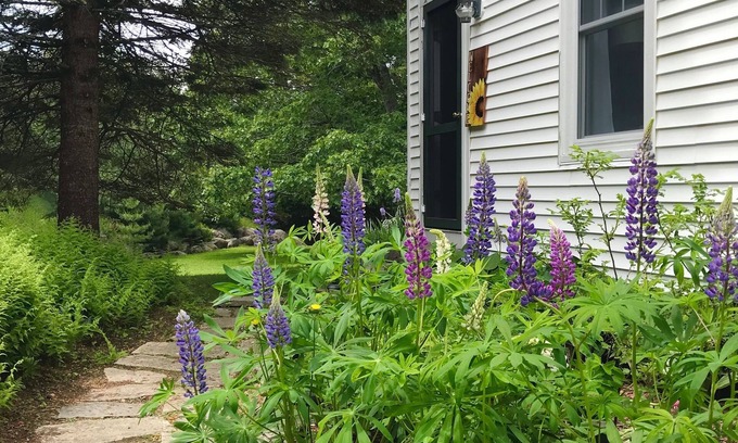 Hall Quarry Other | FARMHOUSE newly renovated in heart of Acadia with wild blueberries on 3 acres!