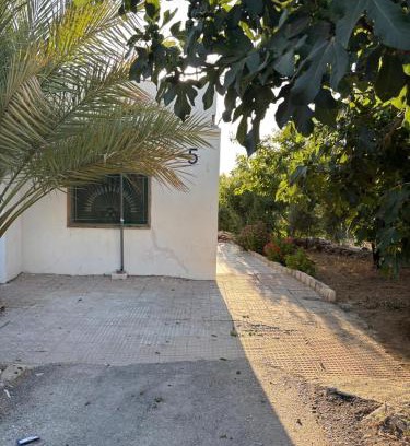 Ajloun House | Featured House Furnished Independent for Rent