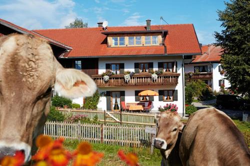 Nesselwang Apartment | Ferienhaus Kögel