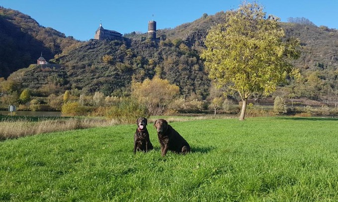 Kurrenberg Apartment | Ferienhaus Leopold mit Burgblick an der Mosel