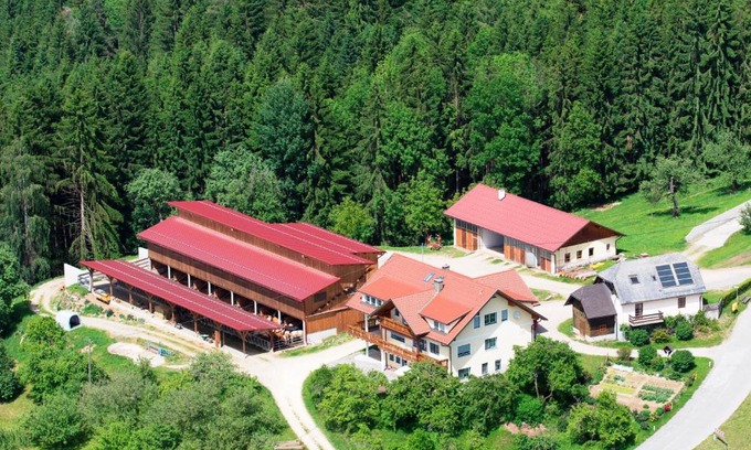 Wolfsberg Apartment | Ferienwohnungen Bauernhof Schilcher