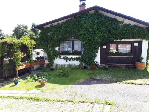 Schmiedefeld am Rennsteig Apartment | Ferienwohnung Kupfer