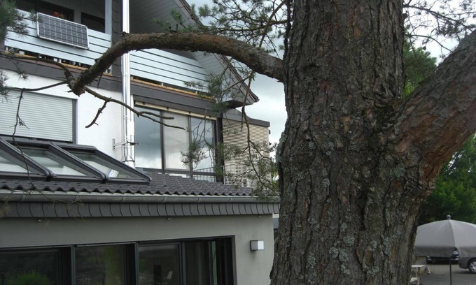 Saarburg Apartment | Ferienwohnung Alter Weinberg - Alter Weinberg