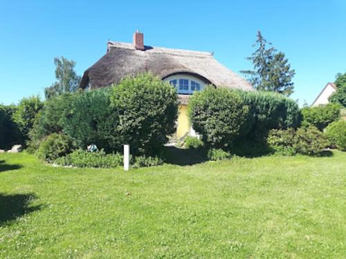 Wieck auf dem Darss Apartment | Ferienwohnung am Bodstedter Bodden