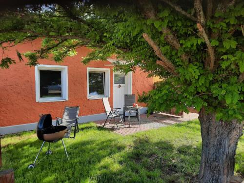 Mecklenburgische Kleinseenplatte Apartment | Ferienwohnung am Oase am Vilzsee