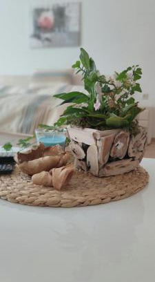 Ilmenau Apartment | Ferienwohnung Schulzental