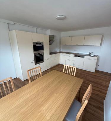 Hinzenbach Apartment | Ferienwohnung Seebach