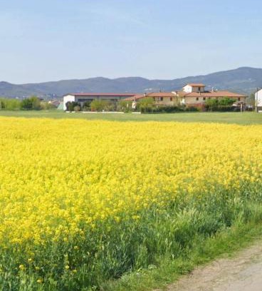 Campi Bisenzio House | Fienile Paradiso Home Tuscany