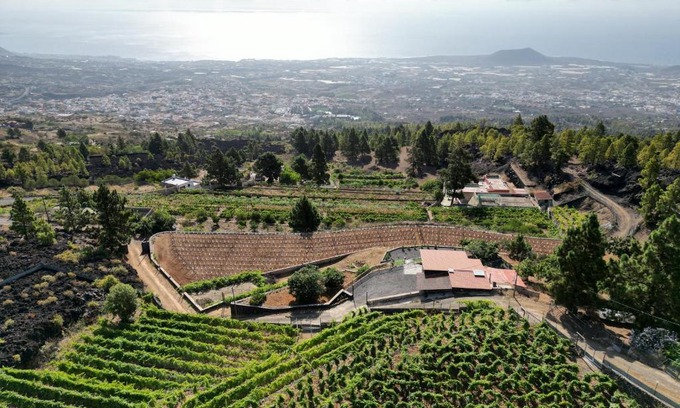 Arafo Ski Chalet | Finca Ecológica Ferrera. Alojamiento Rural.