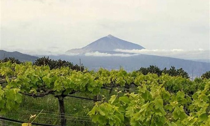 La Vera Cottage | FINCA HOUSE RURAL santa URSULA & montain