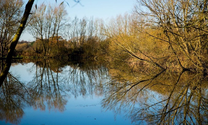 Dilton Marsh Apartment | Fishing Break - Woodland Hut - Goldcrest