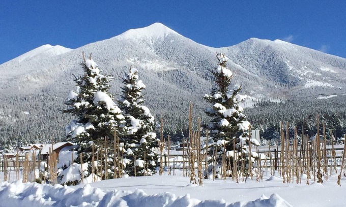 Flagstaff House | Flagstaff is calling! Escape the extreme heat! This weekend is available!