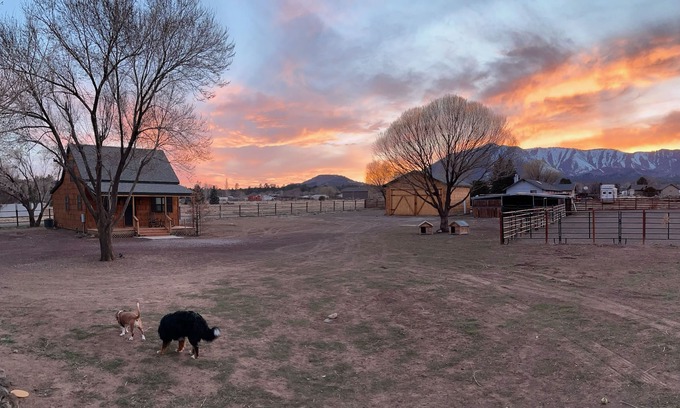 Flagstaff House | Flagstaff pet friendly cabin fenced on >2 acres w/grill, porch & mountain views!