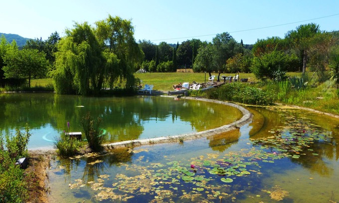 Sassetta Apartment | Flat in an old manor house with a swimming pond and large grounds