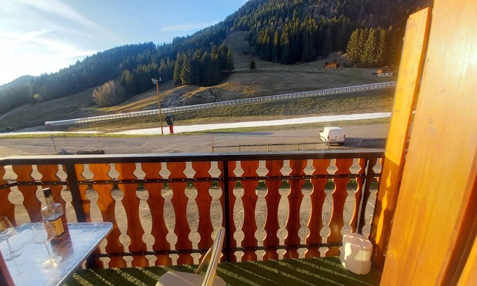 Station de Drouzin le Mont Apartment | Flat w/ panoramic mountain view + near ski slopes