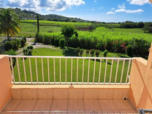 Grand-Bourg Apartment | Fleurs d'hibiscus