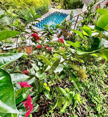 Palomino House | Florita Blue