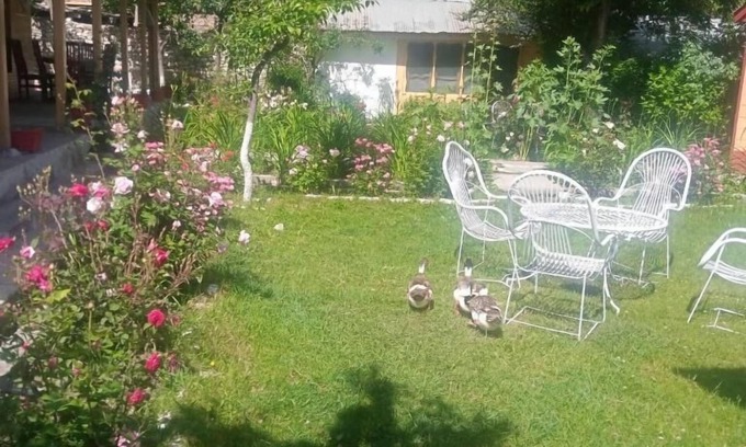 Brun Hotel | Foreigner Tourist Inn