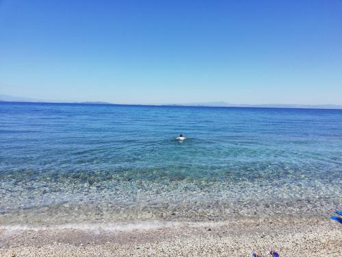 Skala Neon Kidonion Apartment | Fotis Apartments