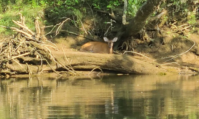 Burkesville House | Four Bed Cumberland River House With Private Boat Launch