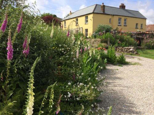 Torrington Bed & Breakfast | Frizenham Farmhouse