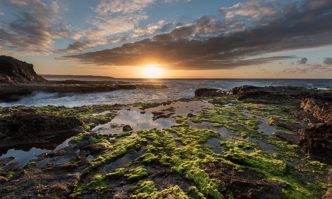 Caleta de Arriba Apartment | Fronton Whale Apartamentos