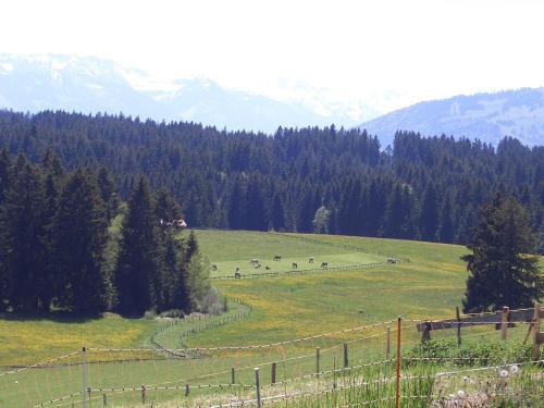 Ettensberg Apartment | Gästehaus Rimmel