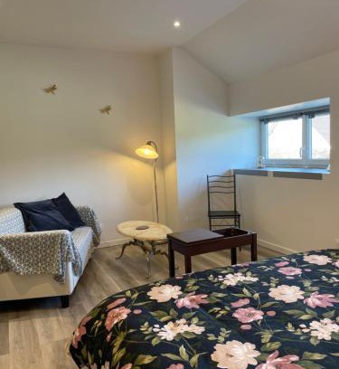 Lorris Apartment | Gîte à la campagne Les Grandes Maisons Espace jacuzzi hammam SPA