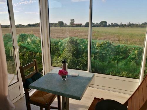 Pibrac Apartment | Gîte Bouconne