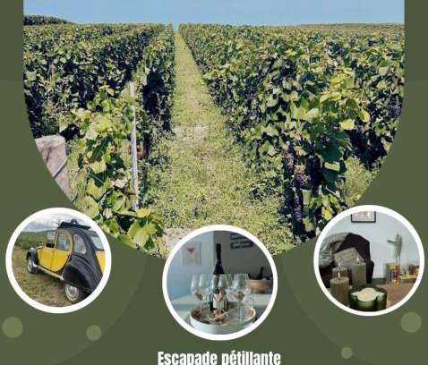 Venteuil House | Gîte familial dans le vignoble champenois