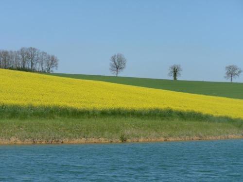 Preignan House | Gîte gascon Le Bataillé