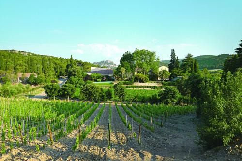 Villeseque-des-Corbieres House | Gîte La Maison des Vendangeurs