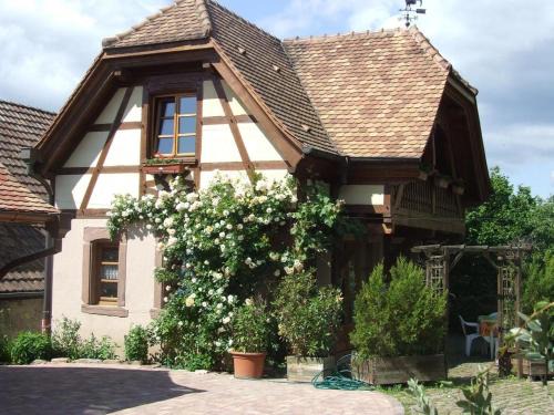 Triembach-au-Val House | Gîte Les Cerisiers