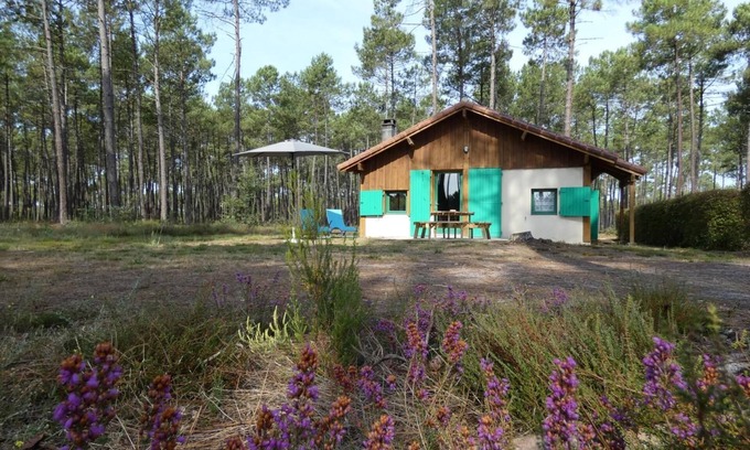 Callen House | Gîte Vert - Luxey - Gîte