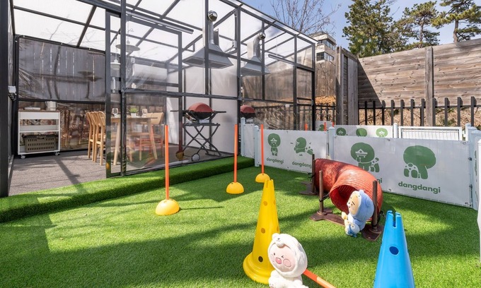 Gangneung House | Gangneung Dangdangi Dog Pension Blue