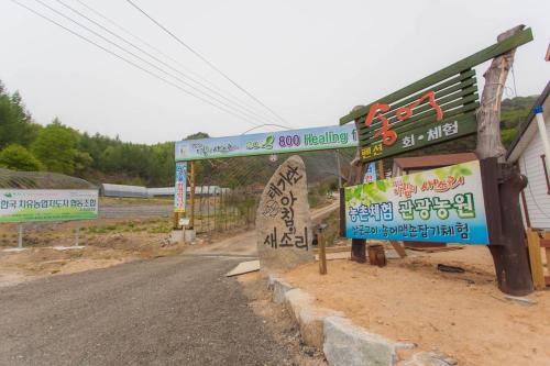 Dunnae House | Gangwon Taegisan morning birdsong