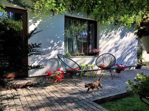 Timisoara Apartment | Garden House