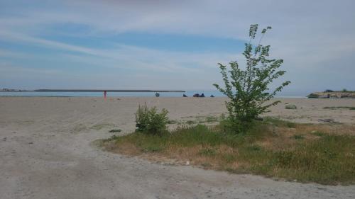 Jibert Apartment | Garsoniera langa mare