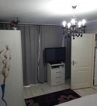 Petrosani Apartment | Garsoniera Samoilă