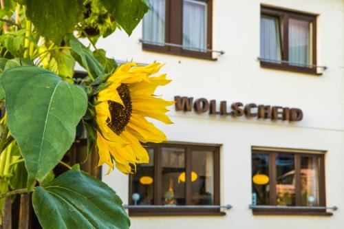 Tarforst House | Gasthaus Wollscheid