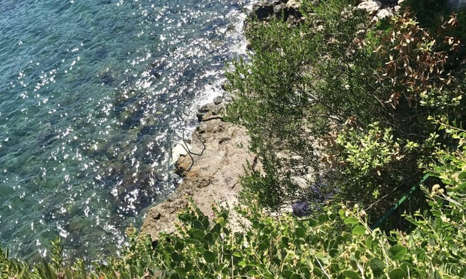 Ischia Porto Apartment | Gelso nero