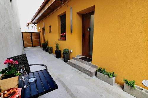 Fagaras House | Georgescu House