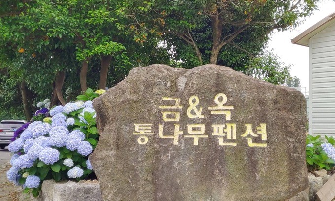 Seogwipo City House | Geumok Log Pension